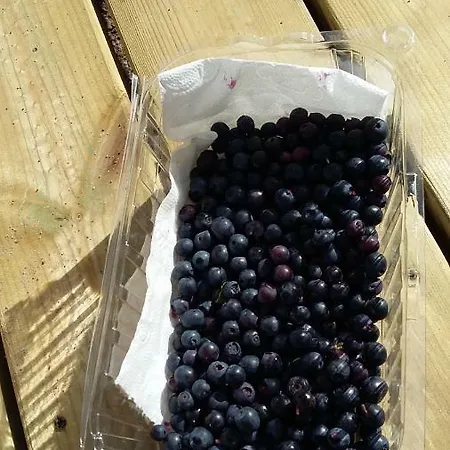 Annanranta *